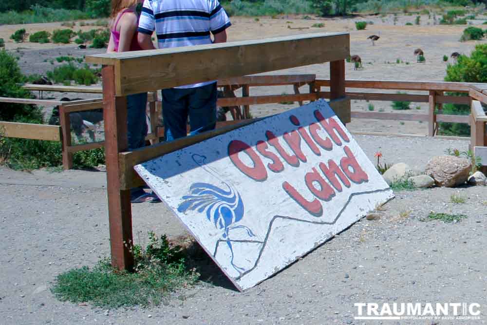 A sign for Ostrichland USA.
