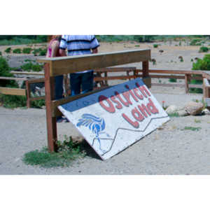 A sign for Ostrichland USA.