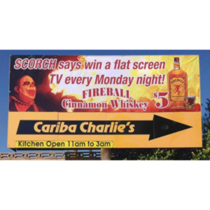 My buddy Warren Ross used on of my pictures to help promote a business in Las Vegas called Cariba Charlie's.  The Billboard was rather prominent on Flamingo Boulevard.  There were three versions over time featuring my images.  I am very proud of the fact that they were there.
