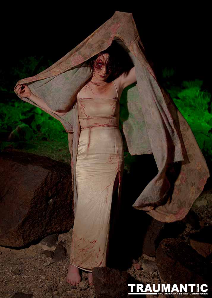 Rebecca had an idea for a Silent Hill inspired character.  I was playing with some lighting techniques, so we got together and shot out on Black Mountain in Henderson.  We got these cool shots.