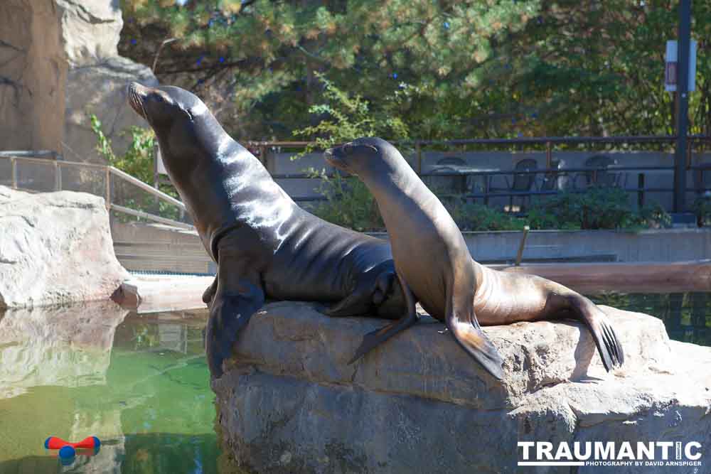 Photos from a family trip to the Denver Zoo.