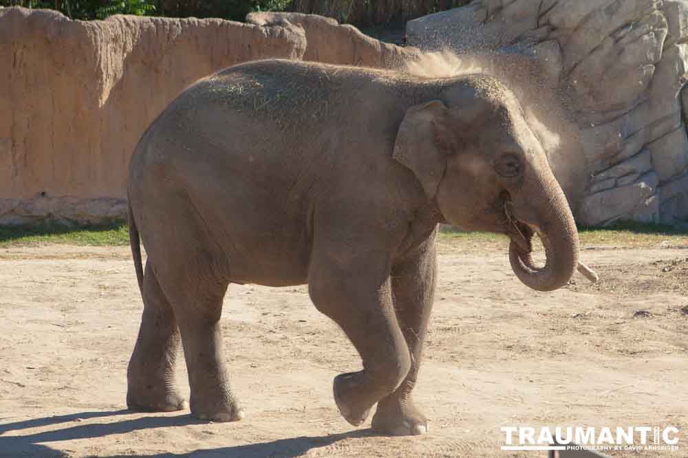 Photos from a family trip to the Denver Zoo.