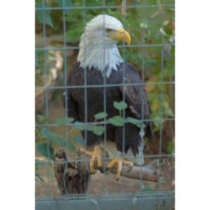 Photos from a family trip to the Denver Zoo.