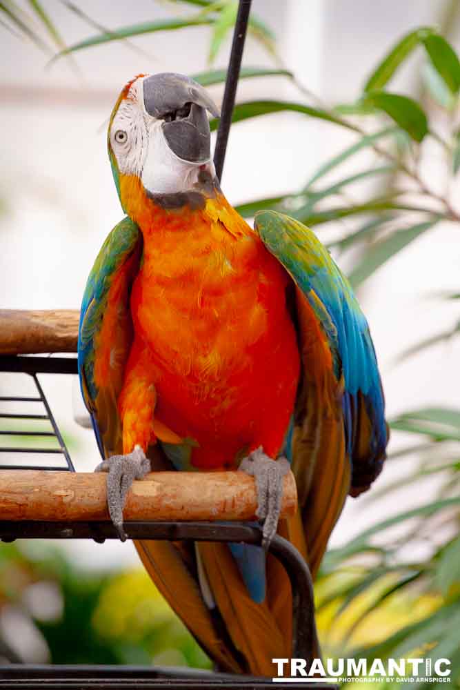 Bath Garden Center hosted Rocky Mountain Raptors.