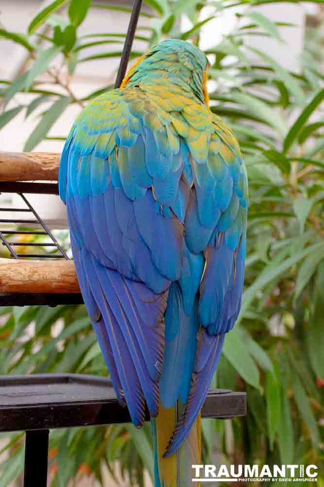 Bath Garden Center hosted Rocky Mountain Raptors.