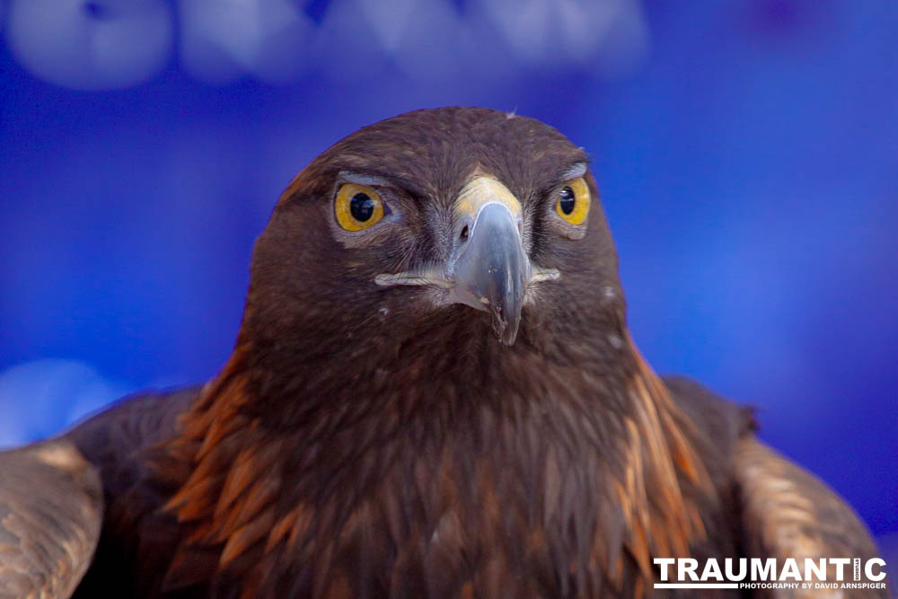 Bath Garden Center hosted Rocky Mountain Raptors.