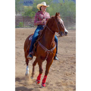 Beautiful women on horseback, count me in.