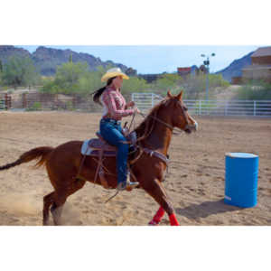 Beautiful women on horseback, count me in.