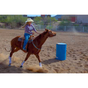 Beautiful women on horseback, count me in.