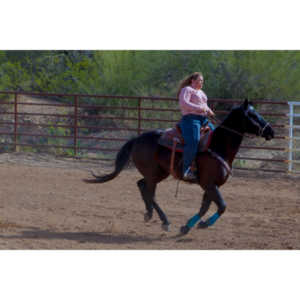 Beautiful women on horseback, count me in.