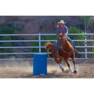 Beautiful women on horseback, count me in.