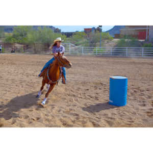 Beautiful women on horseback, count me in.