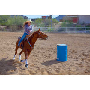 Beautiful women on horseback, count me in.