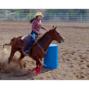 Beautiful women on horseback, count me in.