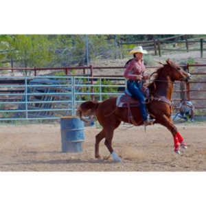 Beautiful women on horseback, count me in.