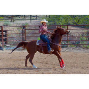 Beautiful women on horseback, count me in.