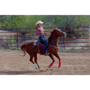 Beautiful women on horseback, count me in.