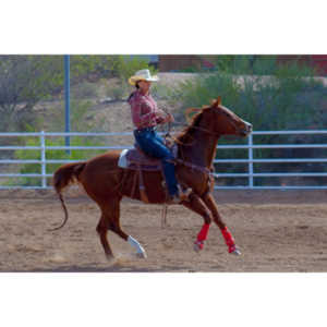 Beautiful women on horseback, count me in.