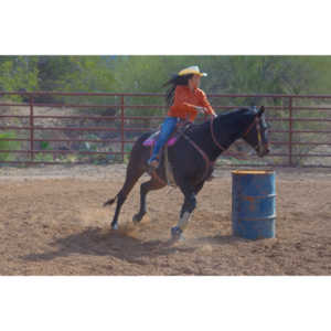 Beautiful women on horseback, count me in.