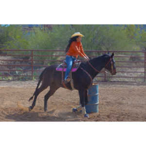 Beautiful women on horseback, count me in.