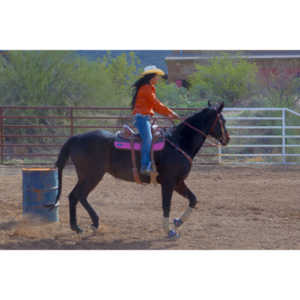 Beautiful women on horseback, count me in.