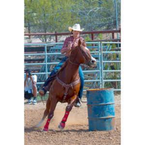 Beautiful women on horseback, count me in.