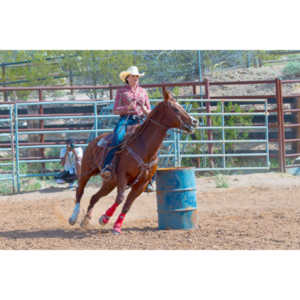 Beautiful women on horseback, count me in.