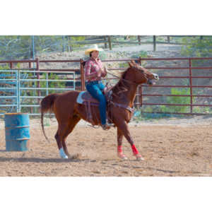 Beautiful women on horseback, count me in.