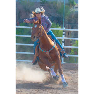 Beautiful women on horseback, count me in.