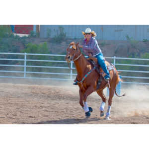 Beautiful women on horseback, count me in.