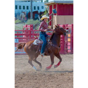 Beautiful women on horseback, count me in.