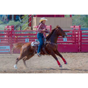 Beautiful women on horseback, count me in.