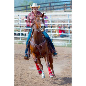 Beautiful women on horseback, count me in.