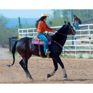 Beautiful women on horseback, count me in.