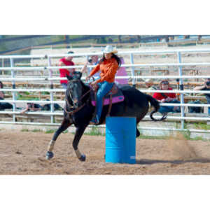 Beautiful women on horseback, count me in.