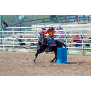 Beautiful women on horseback, count me in.