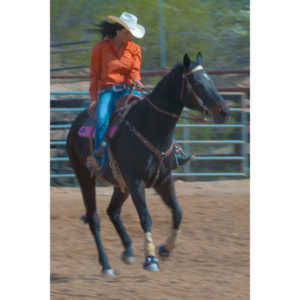 Beautiful women on horseback, count me in.