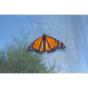 A local gardening center held an event that allowed you to enter a tent with live butterflies.  How could I pass that up?