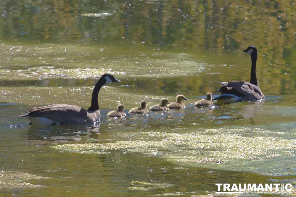 Everywhere I go I look for opportunities to photograph birds.