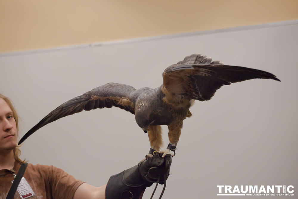 The Rocky Mountain Raptor Program hosted an event at a local library and showed off four of their birds.