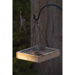 I haven't done a lot of bird shooting out of my upstairs windows recently.  Thought I should get back to it.