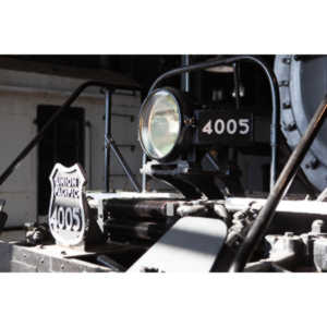 I helped to arrange a visit to the museum with early entry so we could do closeup photography.  A very cool location.