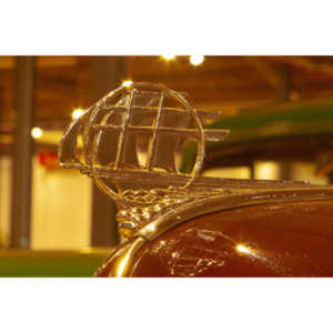 I helped to arrange a visit to the museum with early entry so we could do closeup photography.  A very cool location.