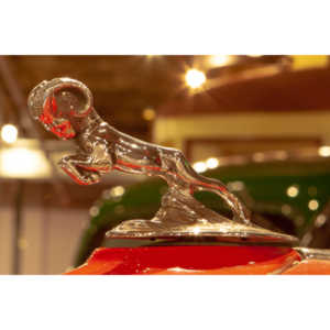 I helped to arrange a visit to the museum with early entry so we could do closeup photography.  A very cool location.