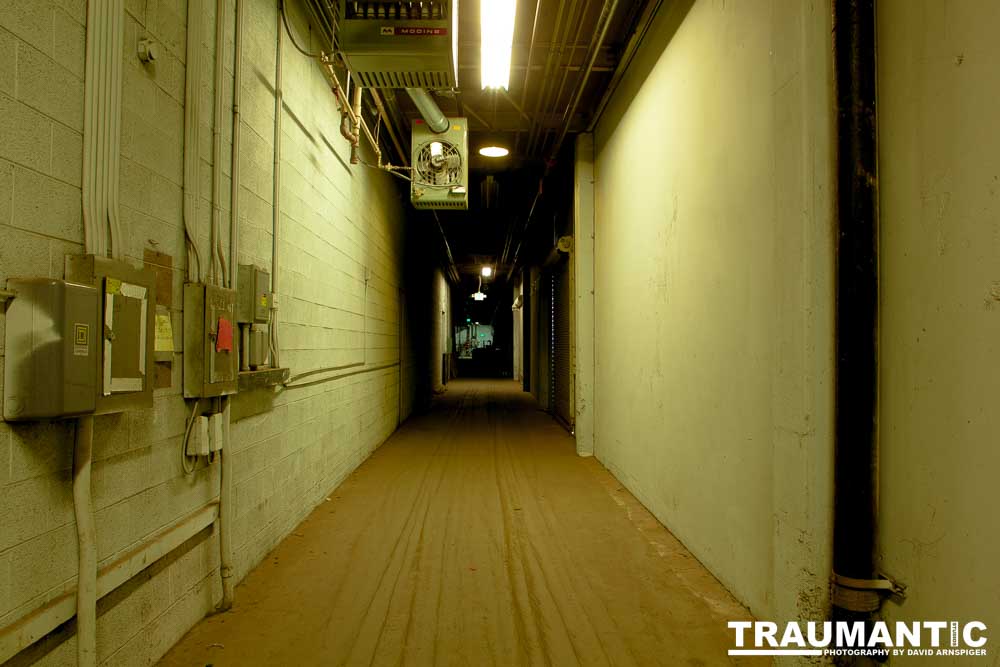 I helped to arrange a visit to the museum with early entry so we could do closeup photography.  A very cool location.