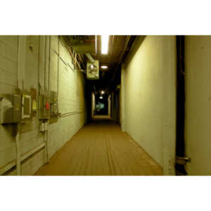 I helped to arrange a visit to the museum with early entry so we could do closeup photography.  A very cool location.