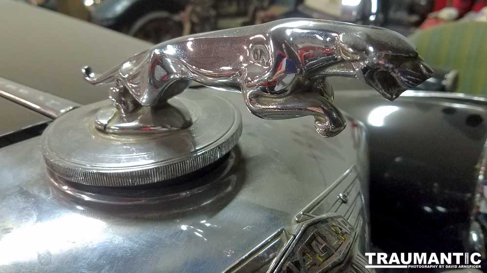 I helped to arrange a visit to the museum with early entry so we could do closeup photography.  A very cool location.