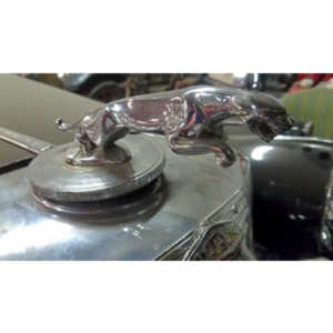 I helped to arrange a visit to the museum with early entry so we could do closeup photography.  A very cool location.