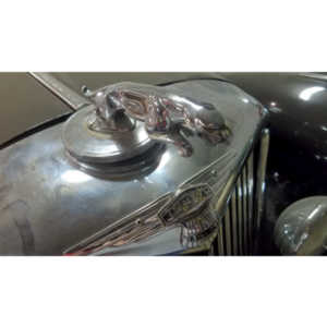 I helped to arrange a visit to the museum with early entry so we could do closeup photography.  A very cool location.