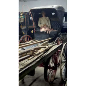 I helped to arrange a visit to the museum with early entry so we could do closeup photography.  A very cool location.